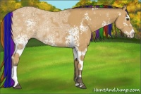 Horse Color:Painted White Spotted Buckskin Ice 