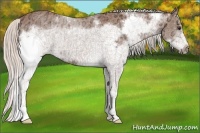Horse Color:White Spotted Silver Bay Ice Frame 