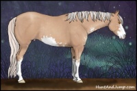 Horse Color:Silver Classic Champagne Sabino Rabicano 