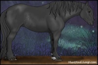 Horse Color:Black Sabino Rabicano 