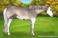 Horse Color:Silver Blue Onyx Roan Sabino Splash
