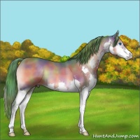 Horse Color:Nacre Watercolor Brown Onyx Splash