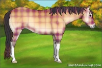Horse Color:Plaid  Bay Onyx 