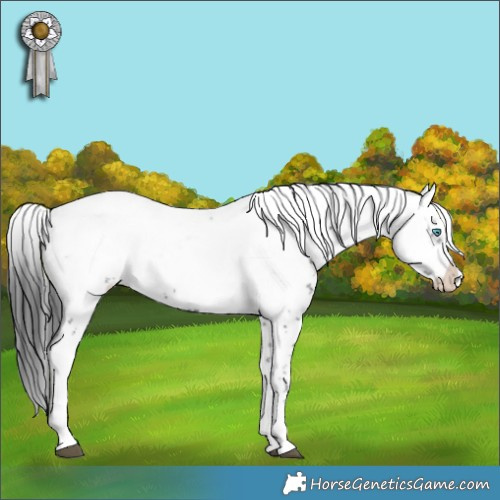 Horse Color:Black Frame 