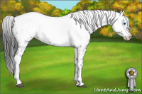 Horse Color:Black Frame 