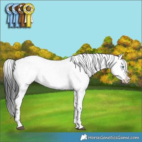Horse Color:Black Frame 