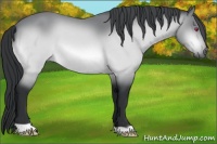 Horse Color:Brown Chinchilla