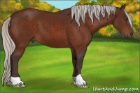 Horse Color:Silver Brown 