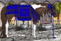 Horse Color:Liver Chestnut Tobiano