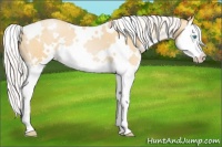 Horse Color:White Spotted Silver Buckskin Pearl Splash