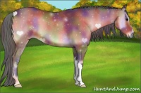 Horse Color:Nacre Bay Onyx 