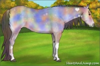 Horse Color:Nacre Buckskin Onyx 