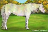 Horse Color:Nacre Silver Bay Onyx 