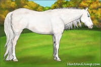 Horse Color:Silver Perlino Ice Roan Dun 