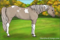 Horse Color:Silver Grullo Tobiano 