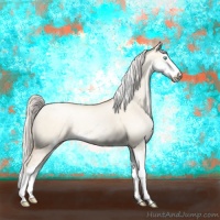 Horse Color:Silver Sable Cream Champagne Pearl Dun Sabino Varnish Rabicano 