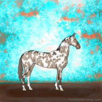 Horse Color:Liver Red Dun Appaloosa Brindle 