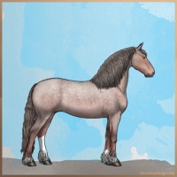 Horse Color:Chocolate Palomino Roan Dun 