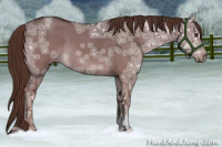 Horse Color:Liver Red Dun Ice Roan 
