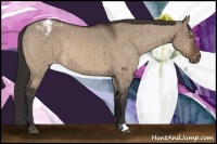 Horse Color:Bay Dun Appaloosa Brindle 
