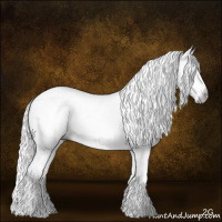 Horse Color:Gray White Spotted Gold Champagne Dun 