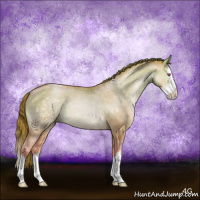 Horse Color:Smoky Grullo Chinchilla Pearl Sabino Splash Rabicano Brindle