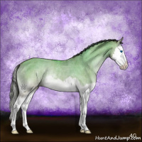 Horse Color:Sable Champagne Onyx Sabino Splash Rabicano Brindle