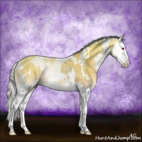 Horse Color:White Spotted Silver Buckskin Chinchilla Onyx Splash Rabicano Brindle