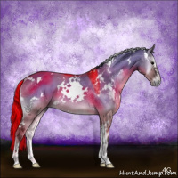 Horse Color:White Spotted Grullo Onyx Sabino Rabicano