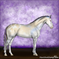 Horse Color:Painted Buckskin Chinchilla Onyx Sabino Appaloosa 