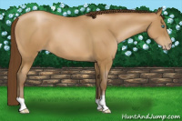 Horse Color:Gray Smoky Black Pearl 