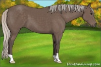 Horse Color:Silver Black