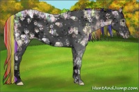 Horse Color:Void Painted White Spotted Silver Brown Ice Splash Frame 