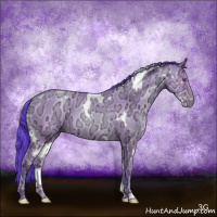 Horse Color:Watercolor White Spotted Sable Cream Champagne Chinchilla Ice Pearl