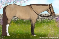 Horse Color:Buckskin Dun Varnish Brindle 