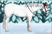 Horse Color:Smoky Grullo Roan Splash Tobiano Appaloosa