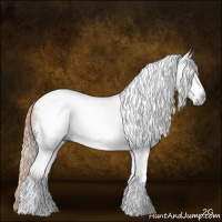 Horse Color:Gray Gold Champagne Tobiano Frame Varnish Rabicano 