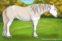 Horse Color:Smoky Creme Splash Varnish 