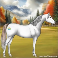 Horse Color:Chestnut Sabino Appaloosa
