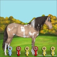 Horse Color:White Spotted Amber Champagne 