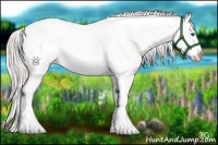 Horse Color:Silver Amber Champagne Roan Dun Splash Tobiano Frame