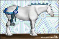 Horse Color:Platinum White Spotted Sable Champagne Dun Splash Tobiano Frame