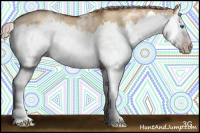 Horse Color:Gray White Spotted Silver Sable Champagne Dun Splash 