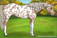 Horse Color:Chestnut Mushroom Near Leopard 