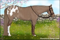 Horse Color:Liver Red Dun Appaloosa Brindle 