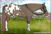 Horse Color:Liver Red Dun Blanket Brindle 