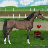 Horse Color:Brown Dun Varnish Brindle 