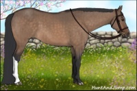 Horse Color:Brown Dun Brindle 