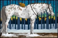 Horse Color:White Spotted Grullo Sabino Splash Appaloosa Brindle