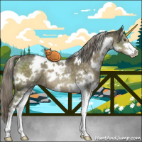 Horse Color:White Spotted Chocolate Palomino Dun Mushroom Sabino